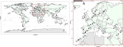 Travel Tales of a Worldwide Weed: Genomic Signatures of Plantago major L. Reveal Distinct Genotypic Groups With Links to Colonial Trade Routes